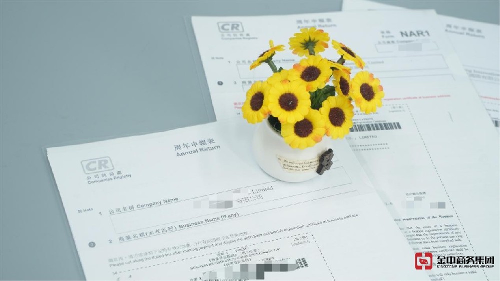 香港公司年審竟藏致命風(fēng)險(xiǎn)？逾期后果超乎想象！